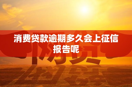 消费贷款逾期多久会上征信报告呢