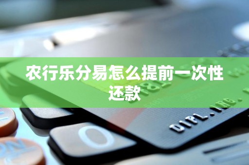 农行乐分易怎么提前一次性还款