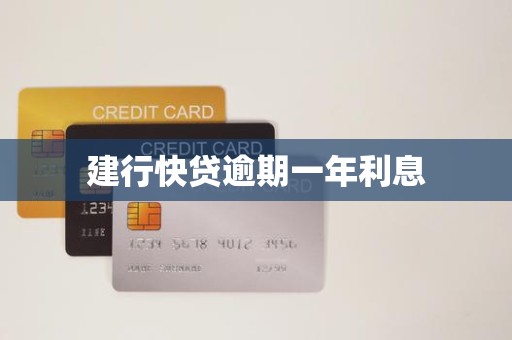 建行快贷逾期一年利息