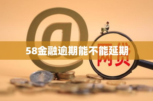 58金融逾期能不能延期
