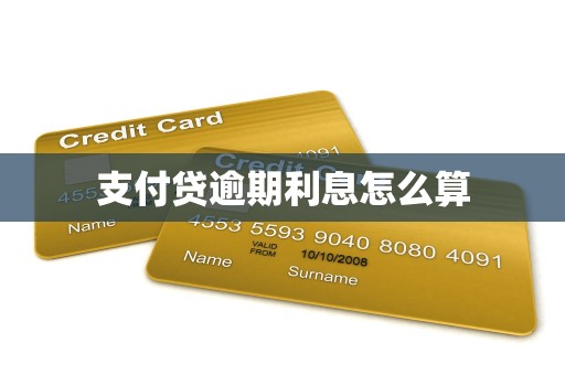 支付贷逾期利息怎么算