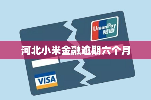 河北小米金融逾期六个月