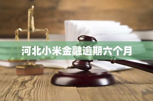 河北小米金融逾期六个月