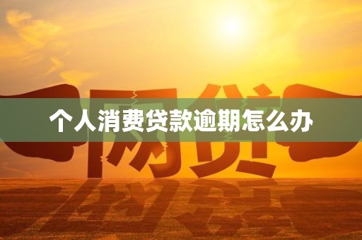 个人消费贷款逾期怎么办 个人消费贷款逾期怎么办