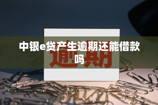 中银e贷产生逾期还能借款吗 中银e贷产生逾期还能借款吗