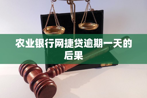 农业银行网捷贷逾期一天的后果