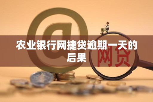 农业银行网捷贷逾期一天的后果