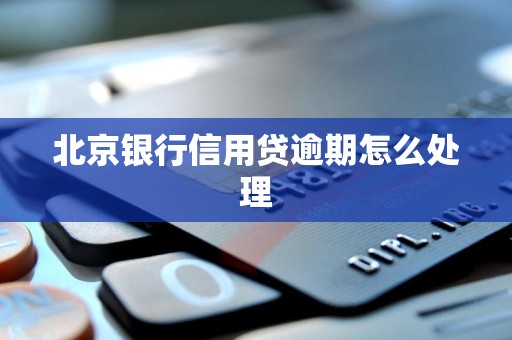 北京银行信用贷逾期怎么处理