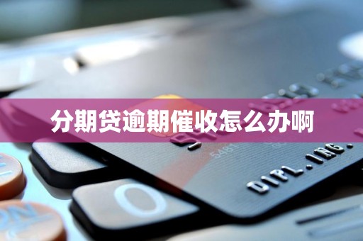 分期贷逾期催收怎么办啊