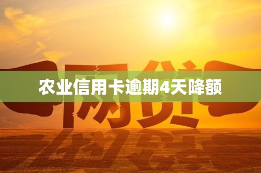 农业信用卡逾期4天降额