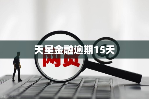 天星金融逾期15天