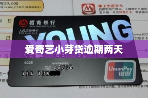 爱奇艺小芽贷逾期两天