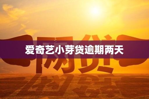 爱奇艺小芽贷逾期两天