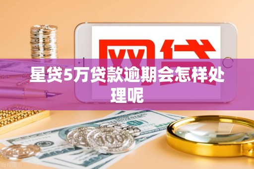 星贷5万贷款逾期会怎样处理呢