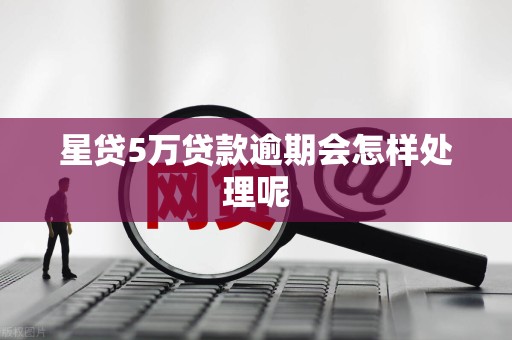 星贷5万贷款逾期会怎样处理呢