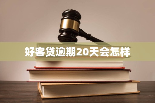 好客贷逾期20天会怎样