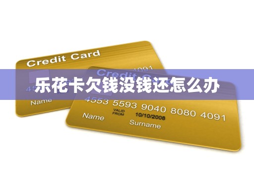 乐花卡欠钱没钱还怎么办