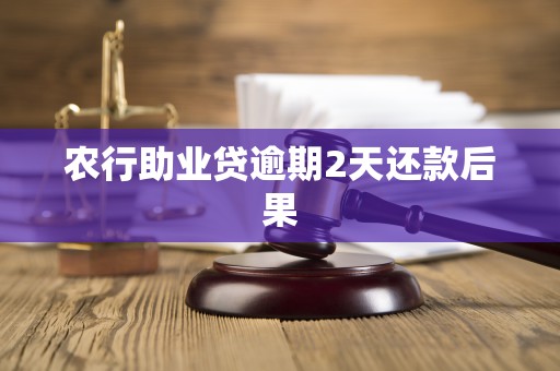 农行助业贷逾期2天还款后果