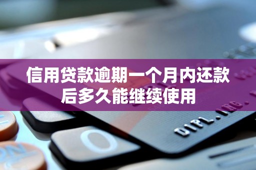 信用贷款逾期一个月内还款后多久能继续使用
