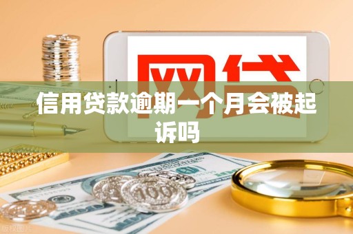 信用贷款逾期一个月会被起诉吗
