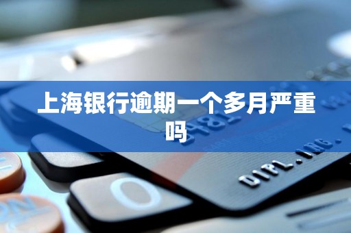 上海银行逾期一个多月严重吗