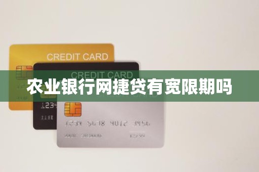 农业银行网捷贷有宽限期吗