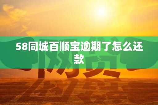 58同城百顺宝逾期了怎么还款