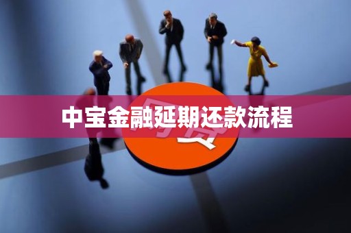 中宝金融延期还款流程
