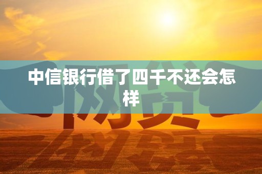 中信银行借了四千不还会怎样