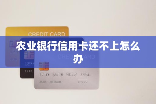 农业银行信用卡还不上怎么办