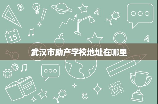 武汉市助产学校地址在哪里