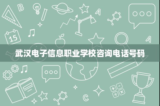 武汉电子信息职业学校咨询电话号码