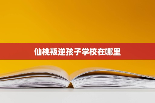 仙桃叛逆孩子学校在哪里