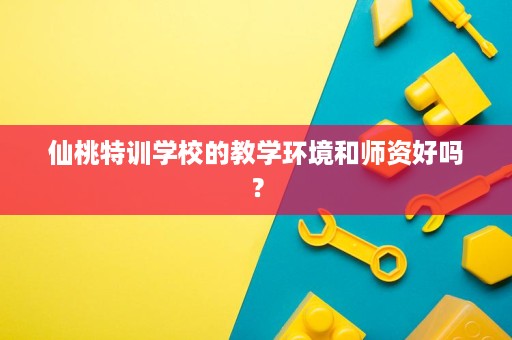 仙桃特训学校的教学环境和师资好吗? 仙桃特训学校的教学环境和师资好吗?