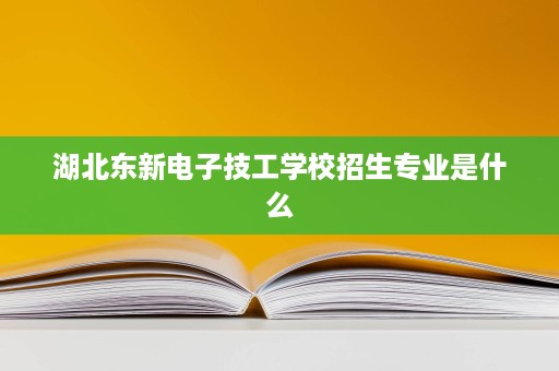 湖北东新电子技工学校招生专业是什么 湖北东新电子技工学校招生专业是什么