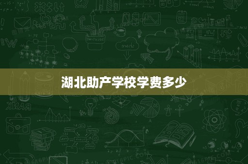 湖北助产学校学费多少 湖北助产学校学费多少
