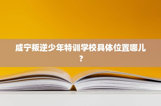 咸宁叛逆少年特训学校具体位置哪儿? 咸宁叛逆少年特训学校具体位置哪儿?