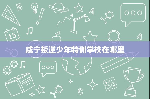 咸宁叛逆少年特训学校在哪里 咸宁叛逆少年特训学校在哪里