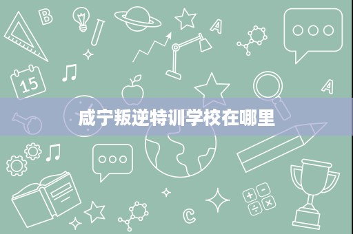 咸宁叛逆特训学校在哪里
