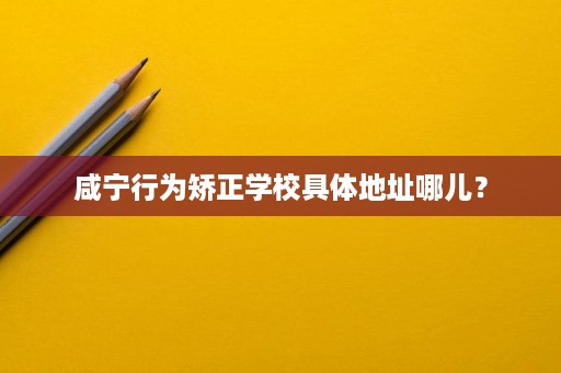 咸宁行为矫正学校具体地址哪儿？