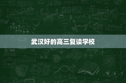 武汉好的高三复读学校 武汉好的高三复读学校