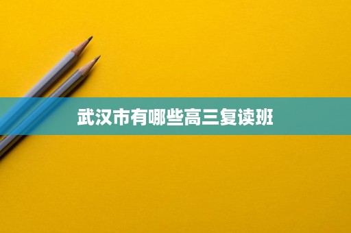 武汉市有哪些高三复读班