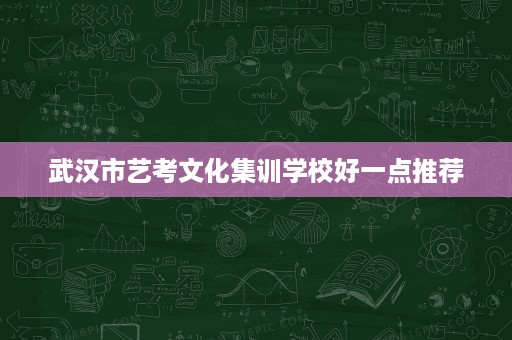 武汉市艺考文化集训学校好一点推荐 武汉市艺考文化集训学校好一点推荐