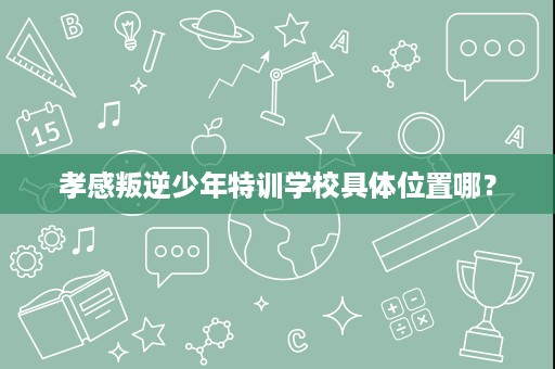 孝感叛逆少年特训学校具体位置哪? 孝感叛逆少年特训学校具体位置哪?