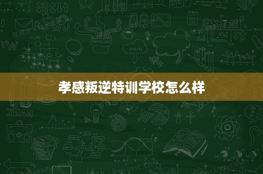 孝感叛逆特训学校怎么样