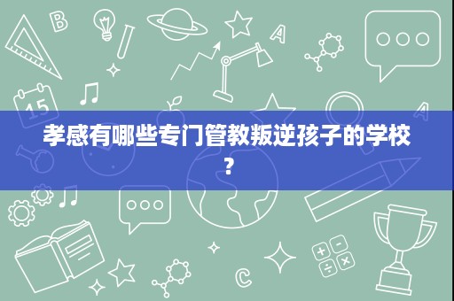 孝感有哪些专门管教叛逆孩子的学校? 孝感有哪些专门管教叛逆孩子的学校?