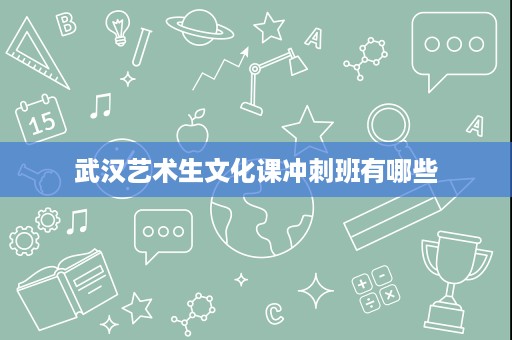 武汉艺术生文化课冲刺班有哪些 武汉艺术生文化课冲刺班有哪些