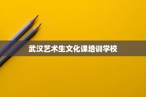 武汉艺术生文化课培训学校 武汉艺术生文化课培训学校
