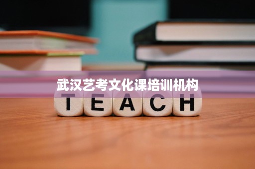 武汉艺考文化课培训机构 武汉艺考文化课培训机构