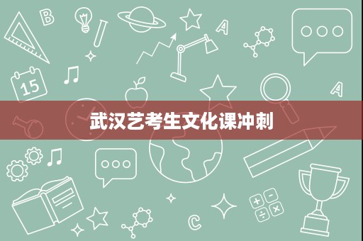 武汉艺考生文化课冲刺 武汉艺考生文化课冲刺